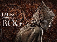 Tales from the Bog