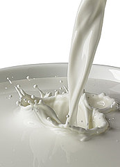 Milk, Mucus, and You: The Congestion Connection