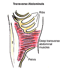 The Skinny On: Deep Abs The Skinny On: Deep Abs