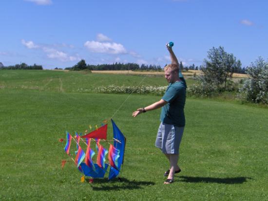 Kites