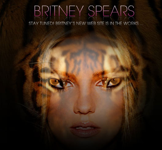 What is Britney Trying to Say?
