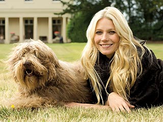 Gwyneth Did Not Get A Tummy Tuck