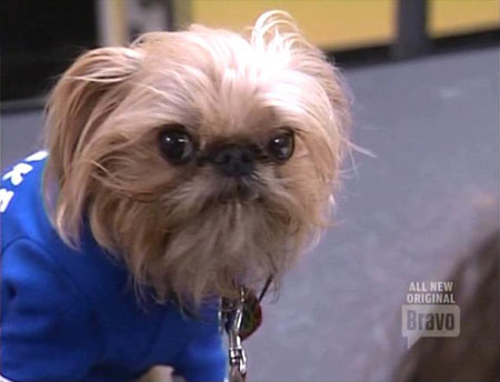 Project Runway: It's a Matter of Taste