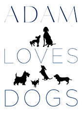 Adam Loves Dogs Event