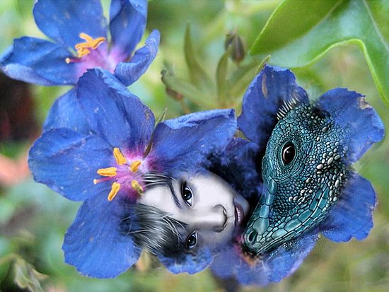 Spotting Dragon
