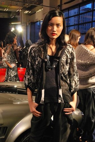 Twinkle By Wenlan Fall 2009 Presentation