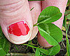 Keep Your Manicure Chip-Free With This Easy Step