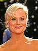 Photo of Amy Poehler at 2009 Primetime Emmy Awards