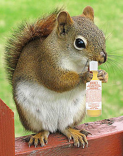 Do You Hide Your Favorite Beauty Items From Guests?