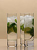 Mojito Recipe 2009-07-02 11:45:03
