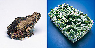 Texas Woman Faces Frog in Frozen Beans