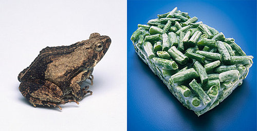 Texas Woman Faces Frog in Frozen Beans