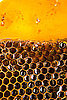 This Week's Slashfood Stories 2009-07-30 04:30:13