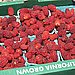 Ferry Plaza Farmers Market, San Francisco, CA