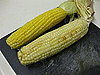 Would You Rather Eat Yellow or White Corn?
