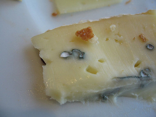 Burning Question: When Is It OK to Eat Moldy Food?