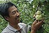 This Week's Slashfood Stories 2009-09-10 04:00:37