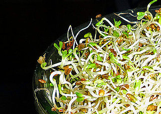 Alfalfa Spouts: Love Them or Hate Them?