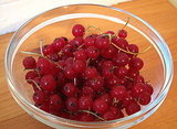 Simple, Four-Ingredient Recipe For Red Currant Raspberry Granita 2009-09-24 11:12:40