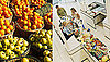 Do You Prefer to Shop at the Farmers Market or Grocery Store? 