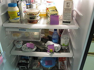Carrying Food From Kitchen to Kitchen? Label Everything