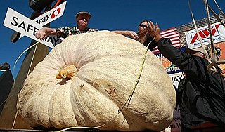 National Food Festivals and Food Events, Oct. 13-20, 2009