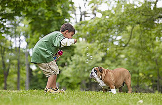 PetSugar's Weekly Recap Quiz 2009-06-13 03:00:26