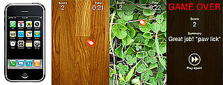 iPhone Game For Cats: Love It or Leave It? 