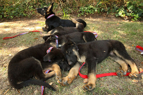 Meet Trustt, Solace, Prodigy, Valor and Dejavu Meet Trustt, Solace, Prodigy, Valor and Dejavu
