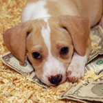 7 Wildly Easy Ways to Give Back!
