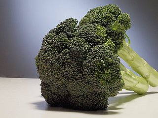 Quiz: Are These Fruits and Veggies Safe For Dogs?