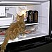 How to Store