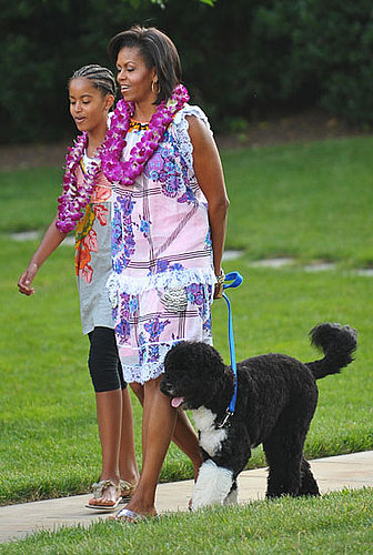 Bo Hits a South Lawn Luau . . . But Needs This