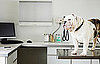 What Has Been Your Scariest Pet Emergency?
