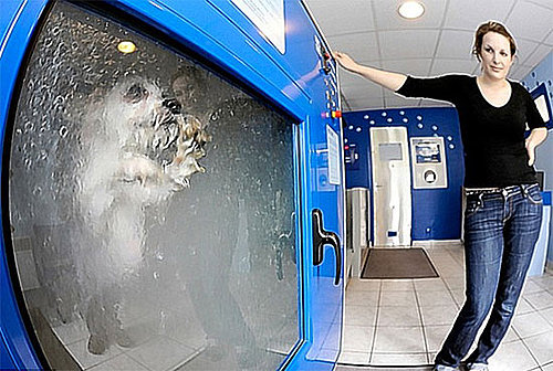 Brilliant or Baffling? Dog-o-Matic Washing Machine