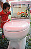 Brilliant or Baffling? Fishtank Toilet