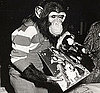 Where Are Michael Jackson's Pets Now?: In the LINK of an Eye