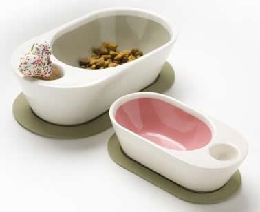 Zen Dish Zen Dish