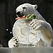 Pure Ice, With a Snack Up Top