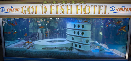 Airport Attraction Airport Attraction