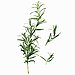 Rosemary Bath