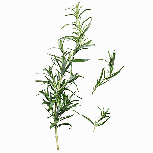 Rosemary Bath Rosemary Bath