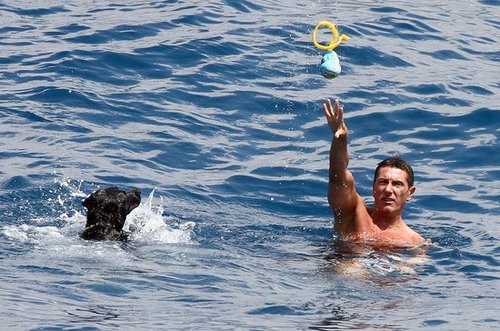 Found! Dolce and Gabbana's Dogs Enjoy Cool Water Found! Dolce and Gabbana's Dogs Enjoy Cool Water
