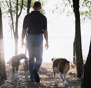 Do Tell: Can Your Dogs Play Off-Leash?