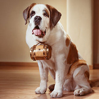 PetSugar's Weekly Recap Quiz 2009-07-25 03:00:33