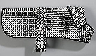 Coach Pet Supplies Are Black and White and Op Art All Over