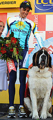 All About Grand-Saint-Bernard and Petit-Saint-Bernard!