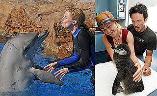 Photos of Anna Paquin and Stephen Moyer at Sea World in San Diego
