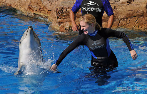 Photos of Anna Paquin and Steven Moyer at Sea World in San Diego Photos of Anna Paquin and Steven Moyer at Sea World in San Diego