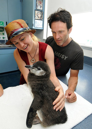 Photos of Anna Paquin and Steven Moyer at Sea World in San Diego Photos of Anna Paquin and Steven Moyer at Sea World in San Diego